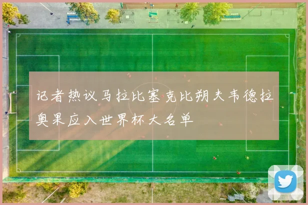 记者热议马拉比塞克比朔夫韦德拉奥果应入世界杯大名单